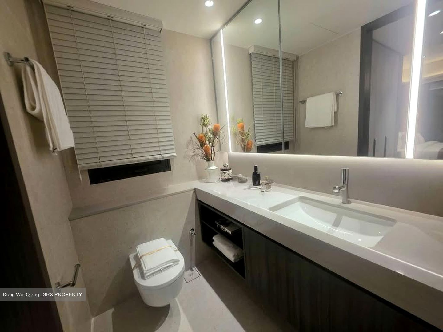 Hudson Place Residences (U/C) (D5), Apartment #583834611